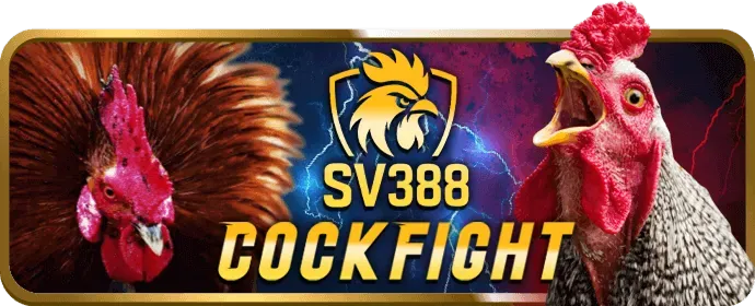 Bước 3: Chọn Sảnh Đá Gà và Đặt Cược